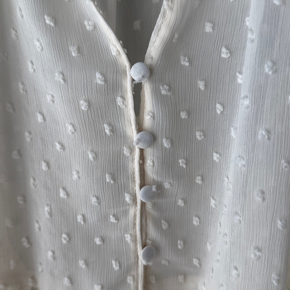 Zara Swiss Dot Sheer Button Down Blouse - Picture 7 of 11